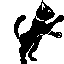 black_cat_stands black_cat_stands